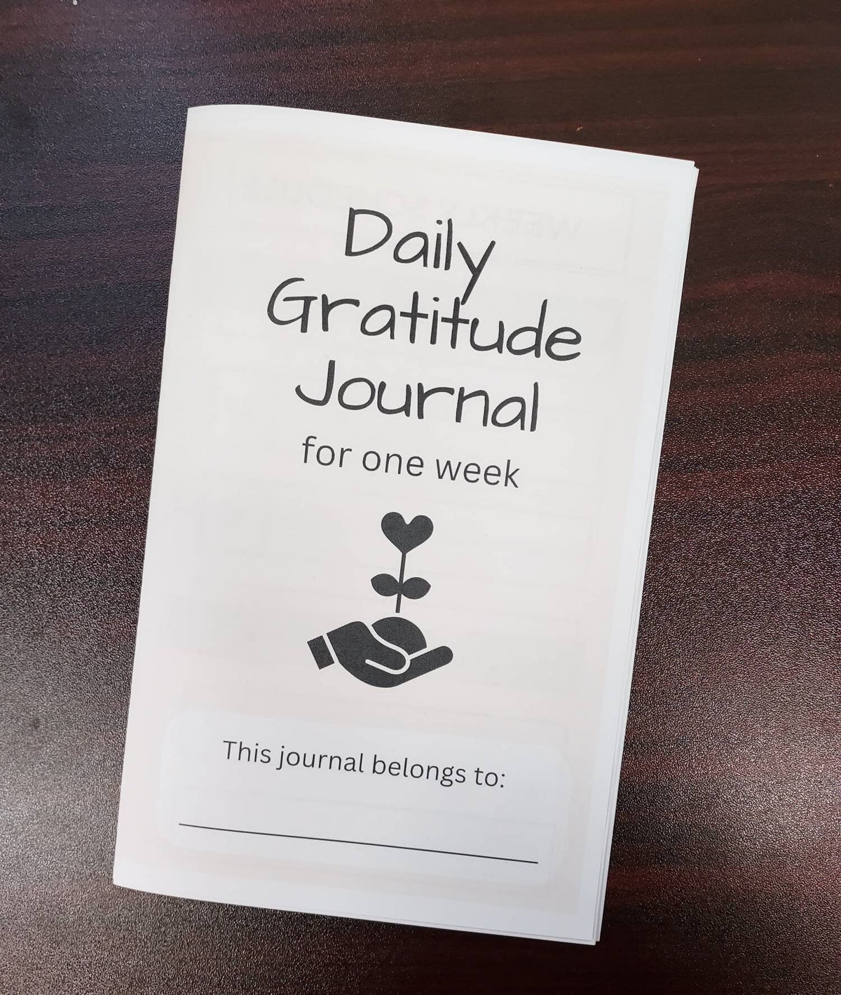 Daily Gratitude Journal with Holy Moments Writing Prompts 8 page Printable Booklet/Acts of Kindness